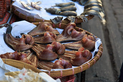 Chiang Mai - dried fish