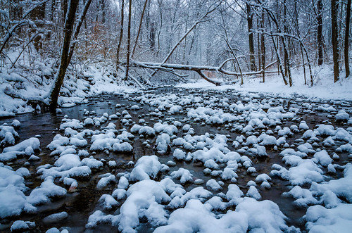 trees winter ohio snow tree nature water horizontal forest woodland river outdoors photography stream unitedstates cincinnati flowing whater wintonwoods greatparks posnov viktorposnov