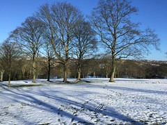 Lister Park in the snow