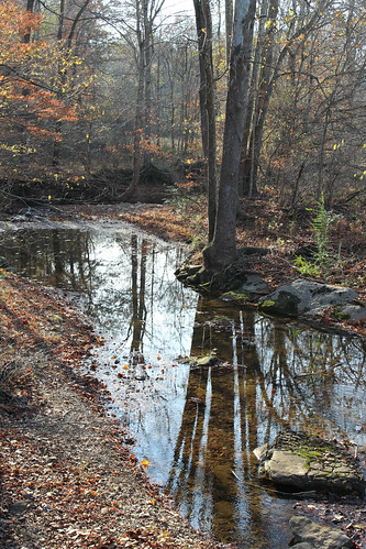 autumn fall water creek landscape tennessee macadoo apsu23things