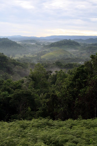 morning trees cloud mist mountains forest dawn early rainforest peace belize tranquility hills bracken cayo centralamerica centroamerica sevenmiles