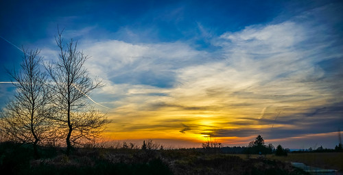 christmas winter sunset sky walking landscape nationalpark belgium sony fens a7 uag liège lightroom giga ulg jalhay walloonregion flickr12days
