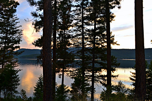 trees sunset vacation pets sun lake man dogs water montana september whitefish relaxation kalispell 334 littlebitterrootlake littlebitterrootlakemt