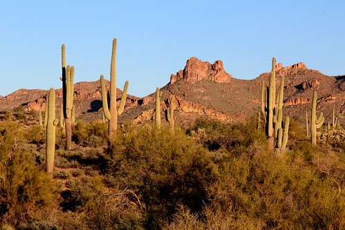 sunset arizona cactus southwest color desert saguaro desertsunset superstitionmountains arizonasunset blinkagain