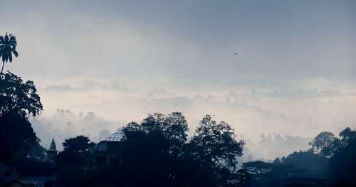 morning mist mountain mountains fog clouds hills srilanka kandy lakeviewlodge rajapillamawatha