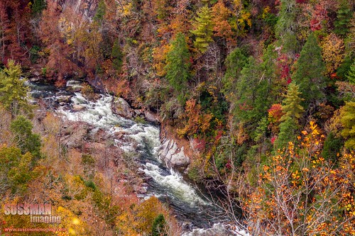 autumn fall nature water river georgia waterfall kayak fallcolors rapids kayaking gorge kayakers tallulahgorge tallulahfalls tallulahriver habershamcounty thesussman sonyalphadslra550 sussmanimaging