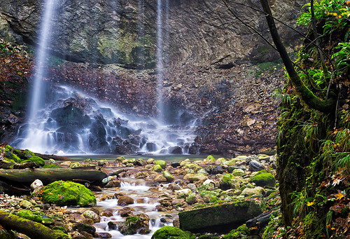 tree green nature water germany flow bavaria waterfall rocks wasserfall aschau imgp0863 hammerbach