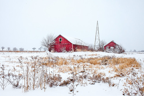 christmas old travel winter red sky white snow cold abandoned broken nature field grass weather horizontal wisconsin barn rural vintage buildings landscape outside countryside frozen wooden midwest cloudy snowy antique decay farm fineart country rustic shed scenic nobody scene farmland structure fresh falling covered americana daytime snowing shack copyspace agriculture blizzard picturesque aging monticello idyllic wi deserted redbarn colorimage greencounty