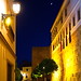 P1080898 nattevandring i Marbella