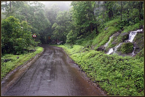 Wet road through forest