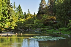Seattle Japanese Garden - UW Botanic Gardens - Washington Park Arboretum