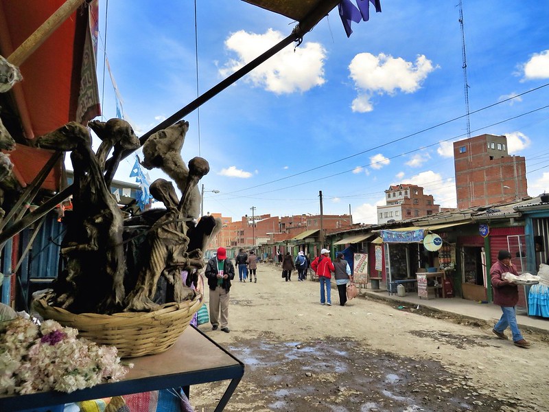 Foetuses for sale opposite the yatiri healers' huts in El Alto market, Bolivia