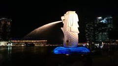 The Merlion at night