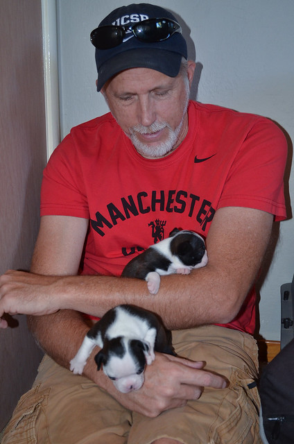 A man holding a Boston Terrier puppy.