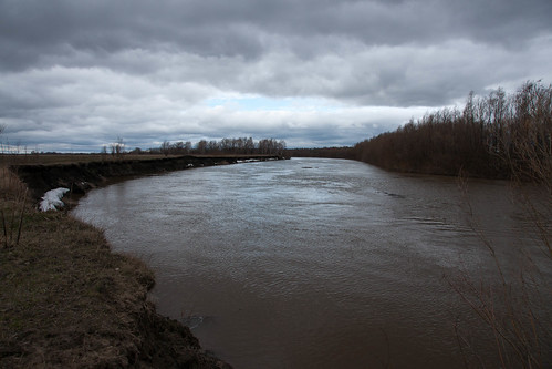 river landscape tara russia omskayaoblast