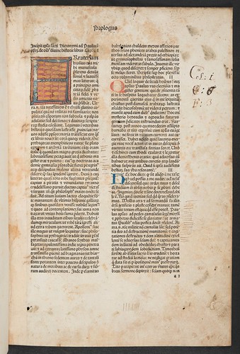 Illuminated initial in Biblia latina