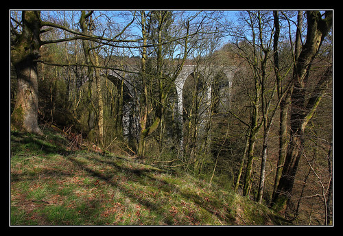 bridge trees abandoned woodland viaduct gorge dismantledrailway rumblingbridge perthkinross powmill devonvalleyrailway gairneyburnviaduct gairneyglenviaduct