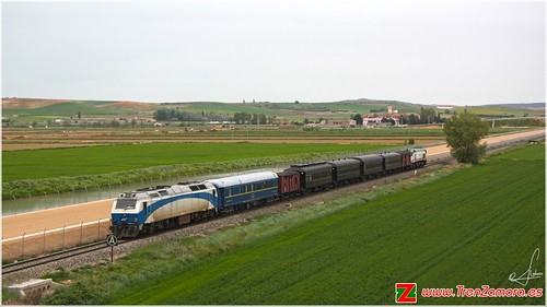 train madera prima canoneos zamora locomotora transporte especial ferrocarril renfe 319 adif 3334 vagones coreses trendelafresa 1000d trenzamora trenhistórico