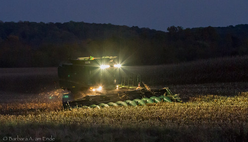 usa field night lights corn harvest maryland combine moment hardwork harvesting windowofopportunity