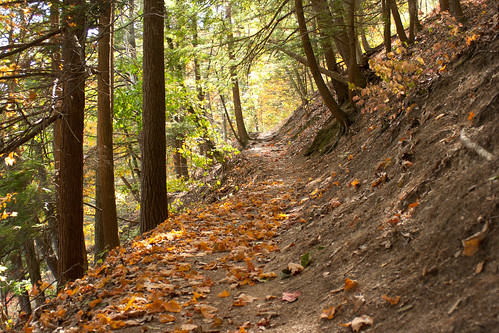 park autumn mountain forest state pennsylvania greenwood pa penn furnace hikingtrail