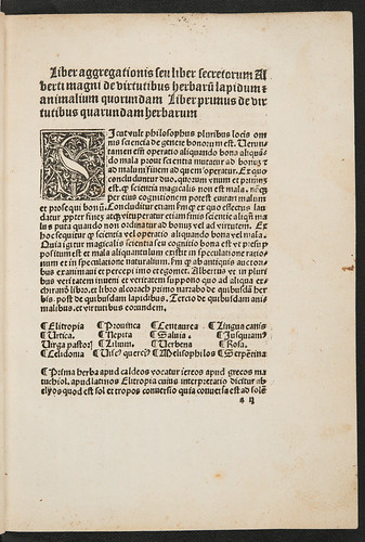 Woodcut initial in Albertus Magnus [pseudo-]: Liber aggregationis