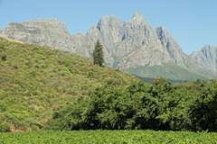 Jonkershoek Mountains, Stark-Condé Wines