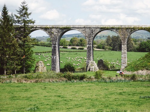 bridge ireland landscape arch sheep pasture vsco vscocam
