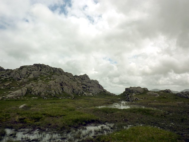Pavey Ark's marshy top