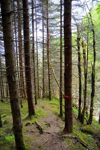 mountain view hike trail prospect hardanger granvin