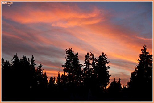 trees sunset color clouds canon washington twilight dusk silhouettes wa graham flaming picmonkey:app=editor
