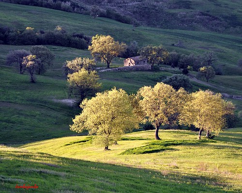 sunset italy panorama landscape countryside italia tramonto campagna tuscany toscana grosseto maremma cinigiano nikonflickraward nikond5000 jambojambo