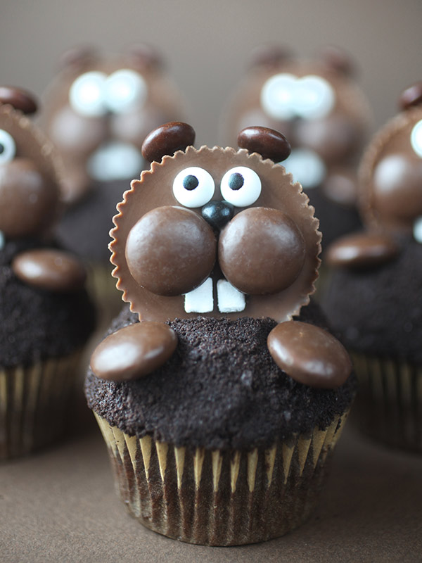 Groundhog Cupcakes