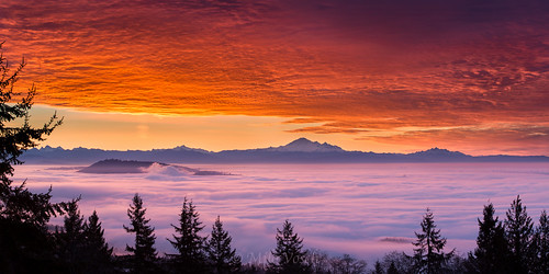 morning trees red sky mountain fog vancouver clouds forest sunrise nikon mt baker bc britishcolumbia burnaby cypress yvr d800 markdonovan d5photocom d5photo
