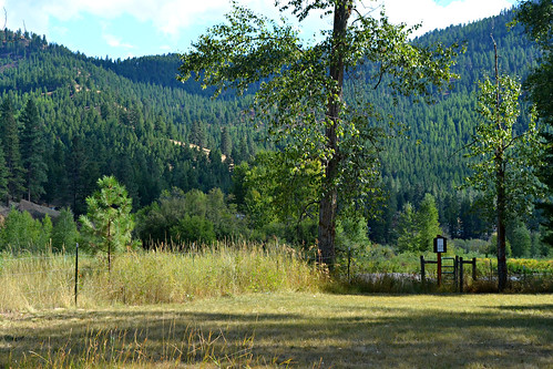 camping trees mountains nature grass fence river montana missoula campground 176 clarkforkriver beavertailhillstatepark