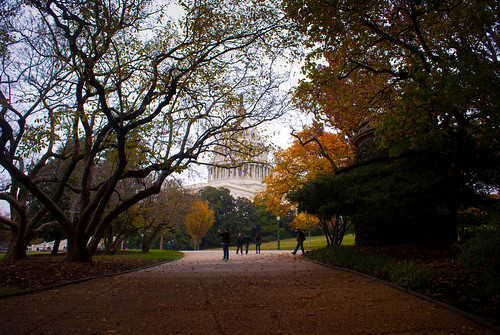 November Capitol grounds