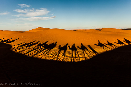 africa november shadow desert dune line camel morocco sanddunes 2012 merzouga saharadesert culinaryfool 2470mm28 brendajpederson