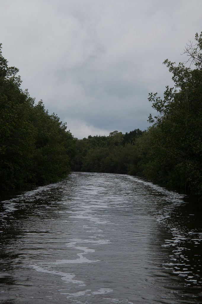Sites along the water at Everglades National Park