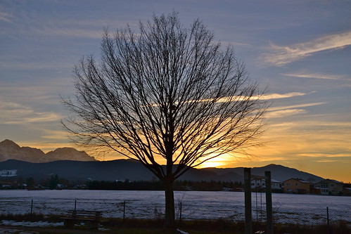 schnee winter sunset sky snow tree germany bayern deutschland bavaria sonnenuntergang himmel february baum februar freilassing zwiesel berchtesgadenerland hochstaufen nikond3100