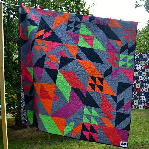 Without a Cause - Anne Read (Quilted by Sue Burnett)