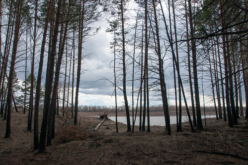 landscape russia omskayaoblast