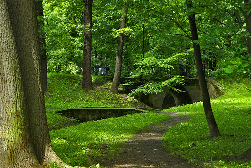 park bridge trees green daylight poland polska zielony światło drzewa mostek cityofbrzeg miastobrzeg