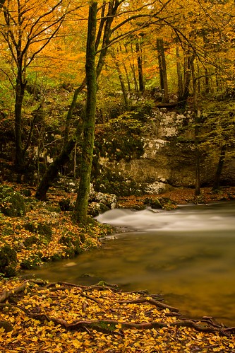 slovenia autunno paesaggio skocjan rakov