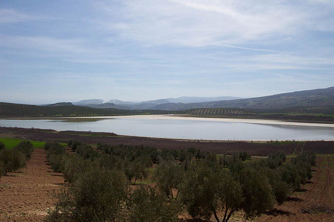 Laguna del Salobral. © Paco Bellido, 2006