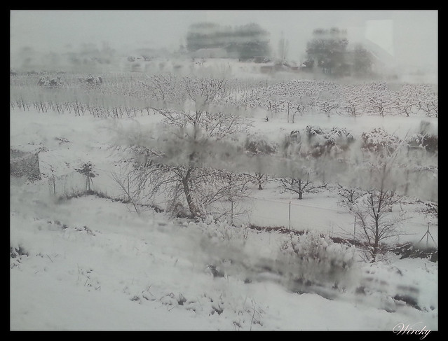 Comenzando a nevar en Lleida