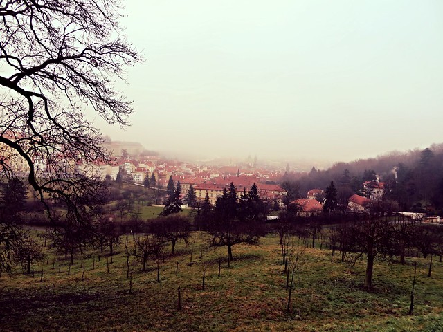 Garden of Petrin Hill, Prague, visit Prague in Winter