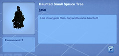 Haunted Small Spruce Tree