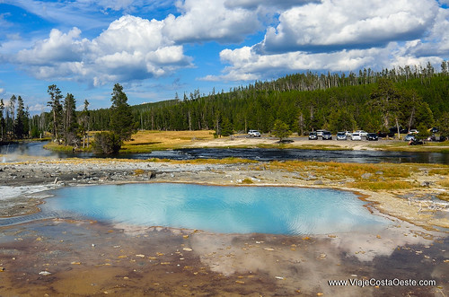 VIAJE COSTA OESTE EE.UU. - Blogs de USA - Yellowstone - Zona Sur (15)