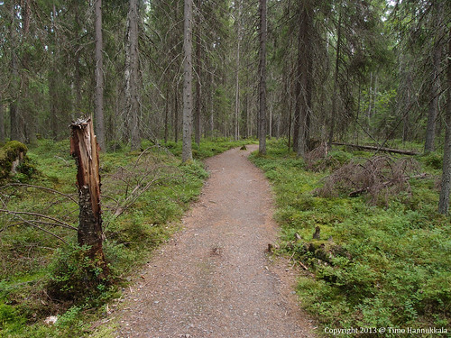 nature walking nationalpark path olympus kansallispuisto helvetinjärvi helvetinjärvenkansallispuisto xz1