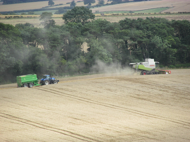 Combine harvesters and tractor.