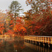 2nd Place - Scenics - Terry Guthrie - Fall Reflections